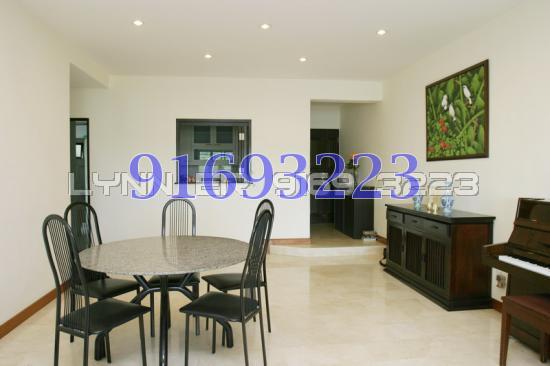 Tulip Garden (Enbloc) thumbnail photo